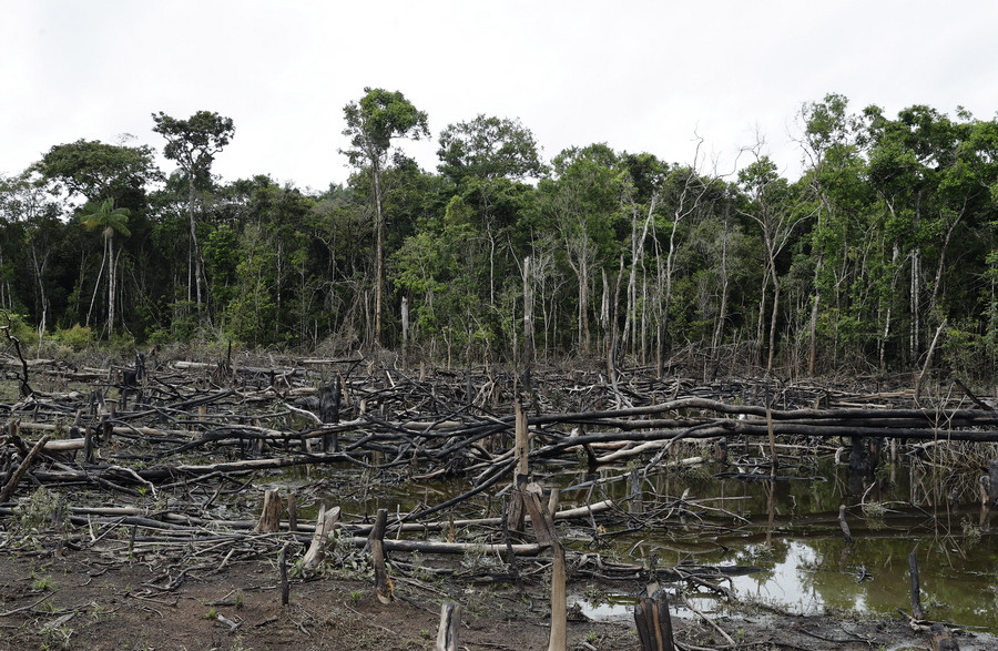 Πάνω από το 1/3 του δάσους του Αμαζονίου έχει υποβαθμιστεί