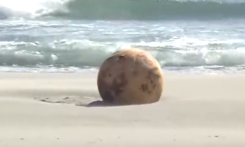Ιαπωνία: Μυστηριώδης μπάλα που ξεβράστηκε σε παραλία, προκάλεσε συνωμοσιολογικό «τσουνάμι»