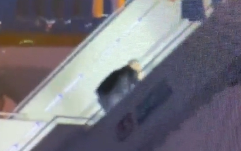 Νέα τούμπα Μπάιντεν στα σκαλιά του Air Force One [Βίντεο]