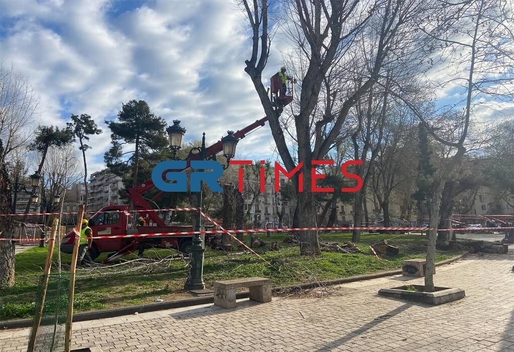 Θεσσαλονίκη: Προσαγωγές οικολόγων που διαμαρτύρονταν για την κοπή δέντρων στη Ρωμαϊκή Αγορά [Βίντεο]