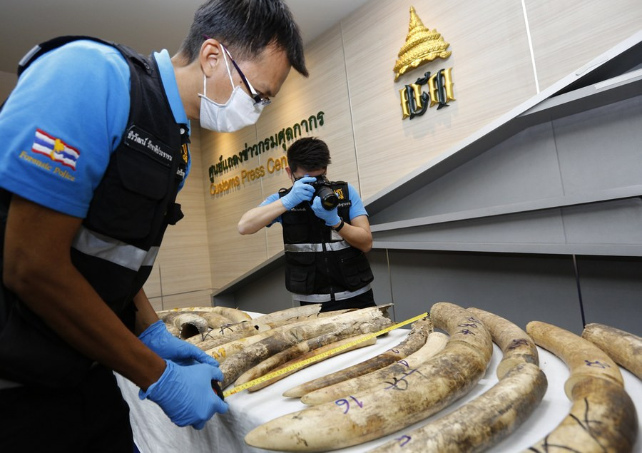 Το Βιετνάμ κατάσχεσε επτά τόνους ελεφαντόδοντο – Η παράνομη εμπορία ευδοκιμεί στην Ευρωπαϊκή Ένωση