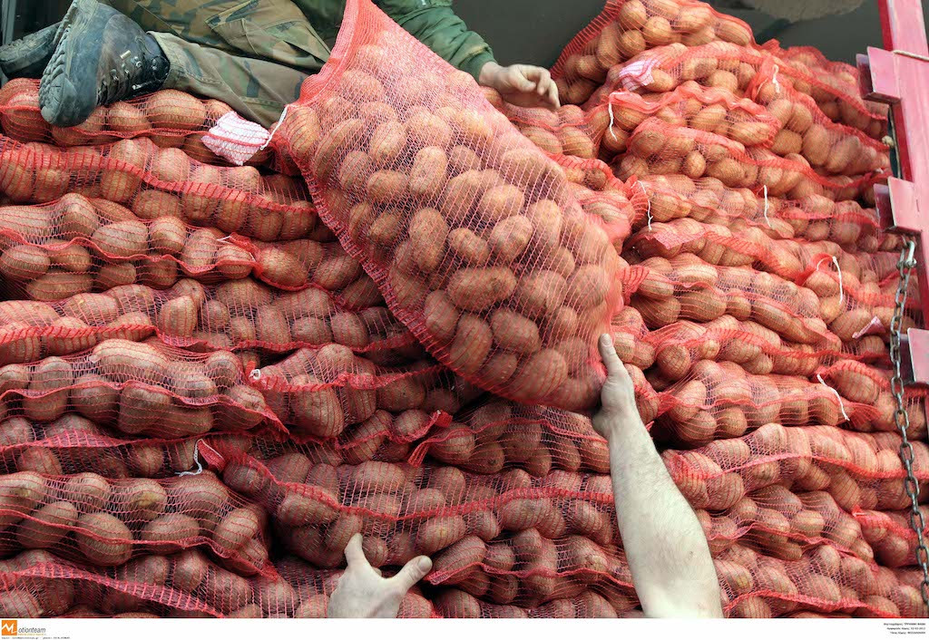 Σέρρες: Απόγνωση από τους παραγωγούς – Χιλιάδες τόνοι πατάτας στα αζήτητα