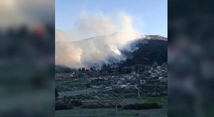 Φθιώτιδα: Μεγάλη δασική πυρκαγιά στην Μενδενίτσα Λοκρίδας