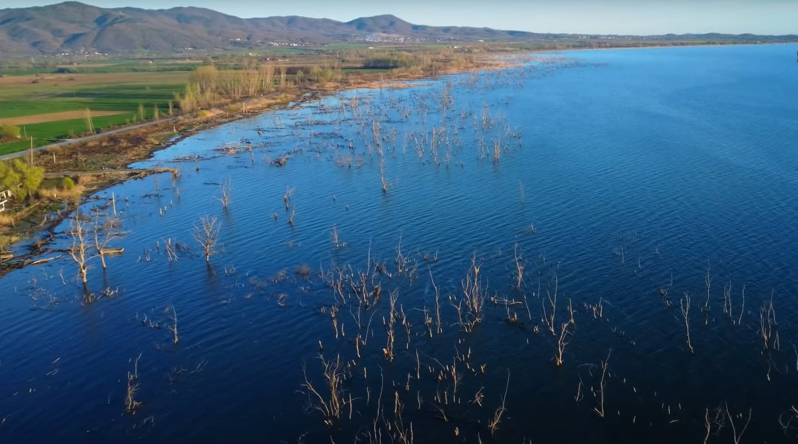 Λίμνη Δοϊράνη: Ένας σπουδαίος υδροβιότοπος στα σύνορα της Ελλάδας