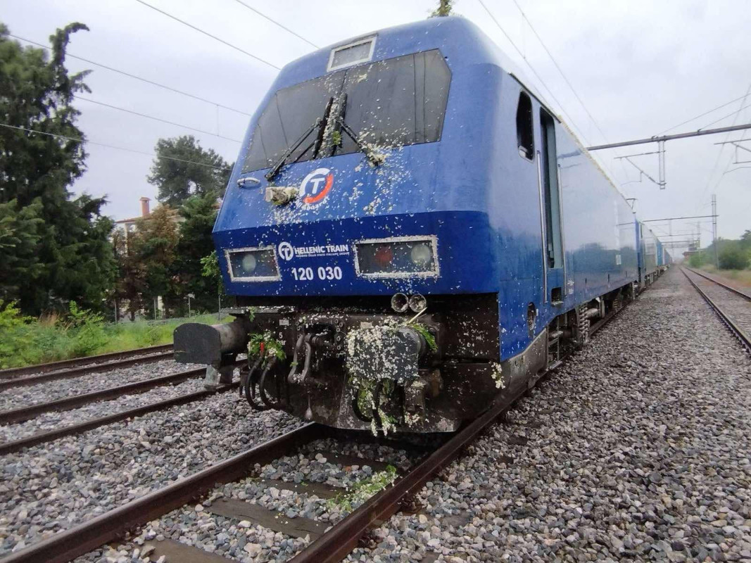 «Ζούγκλα» οι σιδηροδρομικές γραμμές, δύο μήνες μετά την τραγωδία – Τι καταγγέλλει ο πρόεδρος των μηχανοδηγών