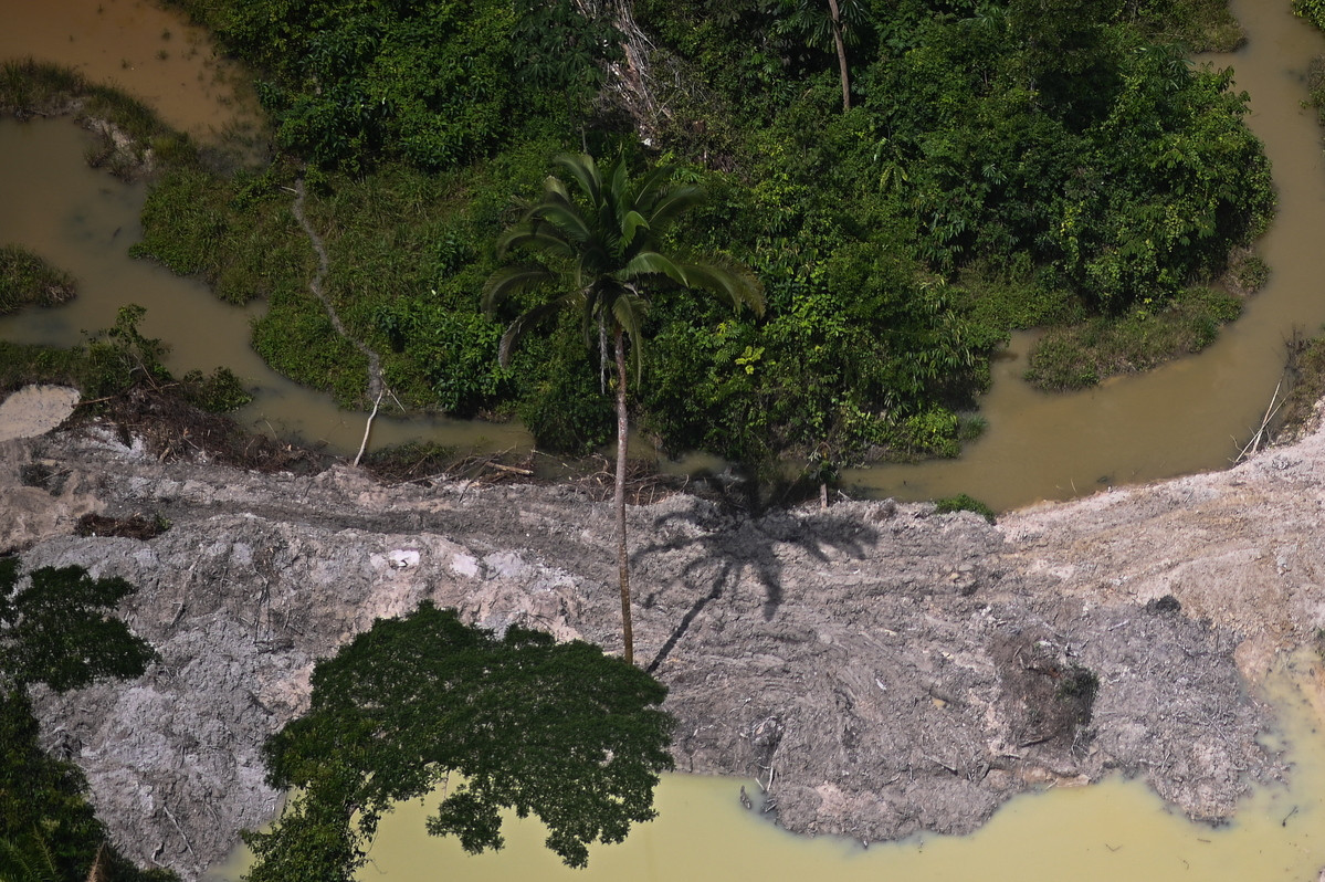 Αμαζόνιος: Μειώθηκε κατά 68% η αποψίλωση του τροπικού δάσους τον Απρίλιο