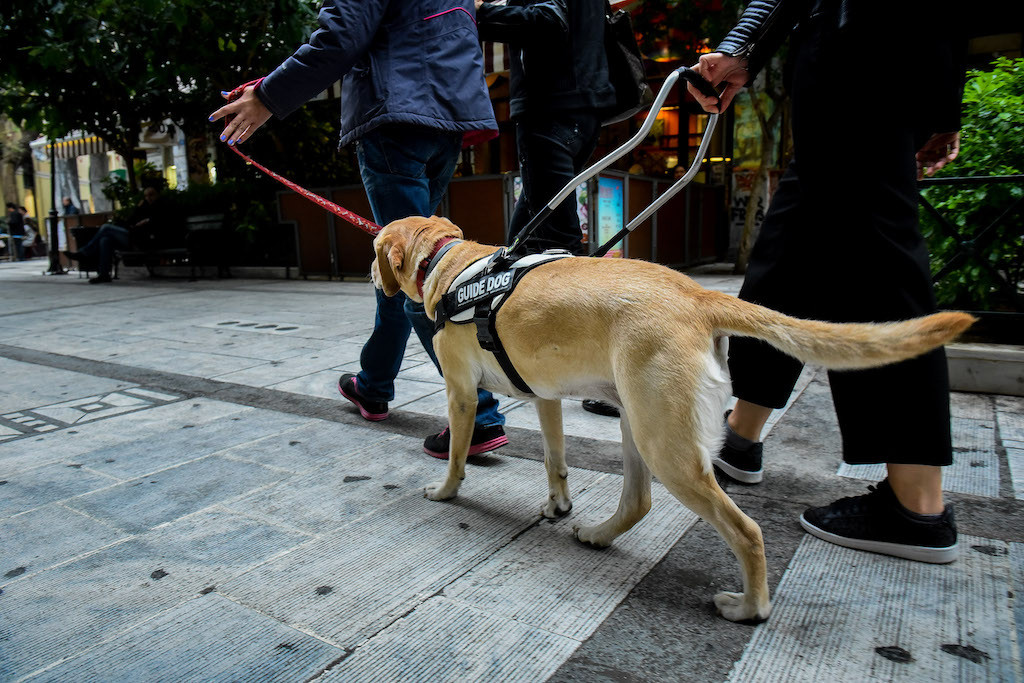 Υπάρχει ελπίδα: Η θετική εμπειρία μιας τυφλής γυναίκας και του σκύλου οδηγού της στο τρόλεϊ