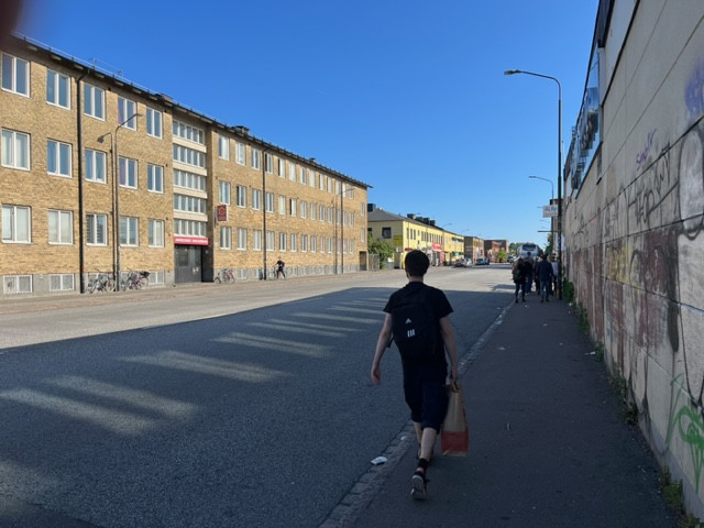 Σουηδία: η σκοτεινή πλευρά της γειτονιάς του Ζλάταν Ιμπραΐμοβιτς
