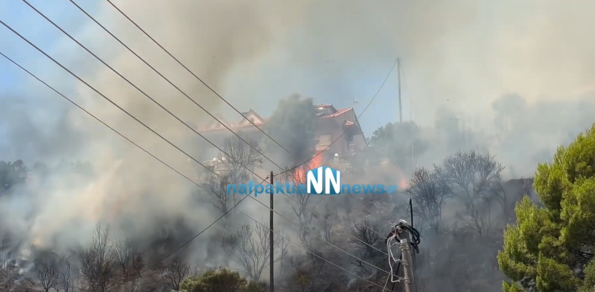 Ναύπακτος: Φωτιά ξέσπασε σε κατοικημένη περιοχή