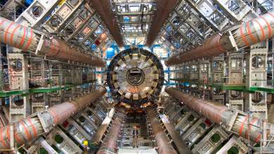 to-cern-paizei-moysiki-0