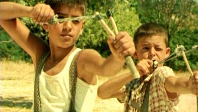 to-aristoyrgima-toy-dimoy-avdelioti-to-dentro-poy-pligoname-0