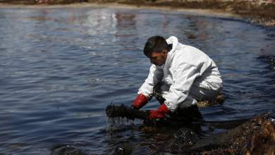 greenpeace-saronikos-sos-osa-prepei-na-gnorizoyme-0