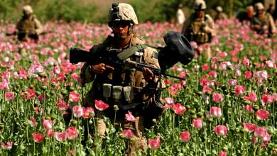 i-vythisi-ton-ipa-stin-opioycha-avysso-toy-afganistan-0