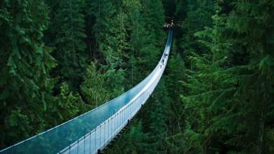 capilano-bridge-perpatontas-pano-stin-pio-magiki-gefyra-toy-kosmoy-fotovinteo-0