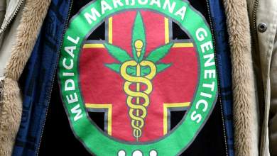 o-kykeonas-tis-farmakeytikis-kannavis-stin-ellada-0