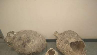 psarepsan-archaioys-amforeis-stin-kriti-0