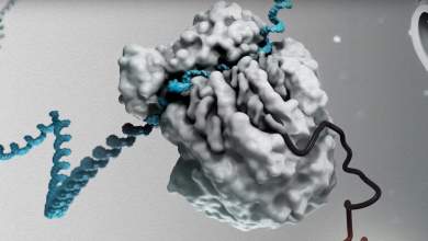 science-ayto-einai-to-simantikotero-epistimoniko-epiteygma-gia-to-2018-vinteo-0