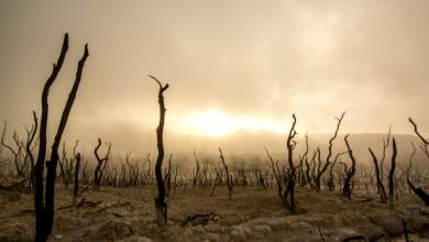 sima-kindynoy-gia-tin-yperthermansi-toy-planiti-ekpempoyn-akadimies-tis-eyropis-0