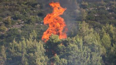 pyrkagia-stin-kefallonia-ekkenothikan-katoikies-kai-xenodocheia-0