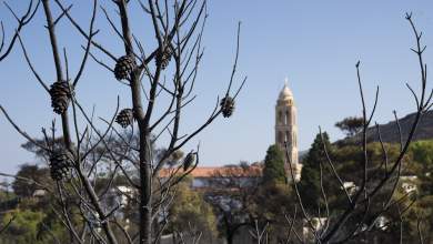 prosopika-paichnidia-axiomatikon-tis-pyrosvestikis-me-tis-foties-se-kythira-kai-mani-0