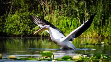 i-teleytaia-zoygkla-tis-eyropis-apeileitai-0