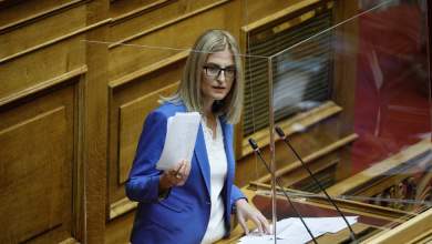 aygeri-pros-kikilia-poios-topothetise-ton-giatro-dialogea-idiotikoy-nosokomeioy-mesa-sto-ippokrateio-0