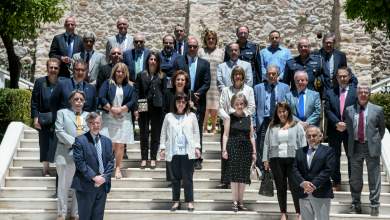 dermitzakis-gia-epitropi-i-systasi-tis-den-einai-ayti-poy-prepei-chreiazetai-mia-diepistimoniki-epitropi-vinteo-0
