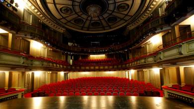 apantisi-adelfoy-lignadi-se-dimosieymata-toy-tvxs-gr-ti-leei-gia-ton-diorismo-toy-sto-ethniko-theatro-0