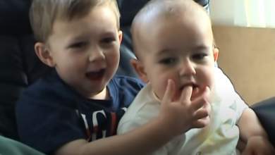 charlie-bit-my-finger-to-vinteo-toy-youtube-poy-poylithike-enanti-760-000-dolarion-0