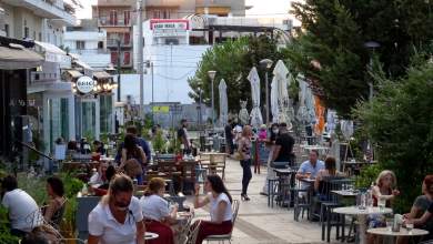petsas-epanexetazetai-to-plaisio-leitoyrgias-tis-estiasis-0