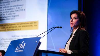 anna-misel-asimakopoyloy-psifise-apochi-gia-ta-dikaiomata-ton-loatki-stin-ee-0