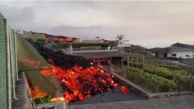 kanaria-nisia-i-lava-katapinei-spitia-meta-apo-ekrixi-ifaisteioy-chiliades-egkateleipsan-tis-esties-toys-vinteo-0