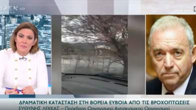 aichmes-kathigiti-lekka-gia-tin-kyvernisi-den-egine-kamia-paremvasi-sta-kamena-tis-eyvoias-0