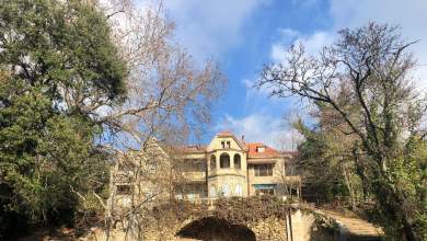 ti-symvainei-me-to-tatoi-0
