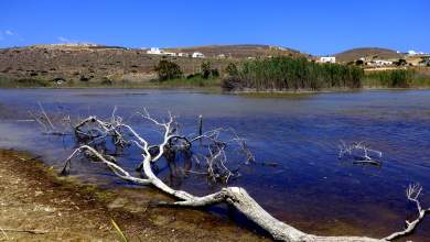 perivallontikes-organoseis-stelnoyn-to-kratos-sto-ste-gia-tis-perioches-natura-0