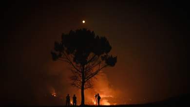 portogalia-gia-7i-mera-kaigetai-ethnikos-drymos-0