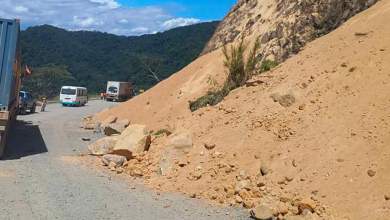 fonika-76-richter-stin-papoya-nea-goyinea-0