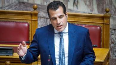 thanos-pleyris-den-eipa-oti-den-einai-koymparos-moy-o-lavranos-0