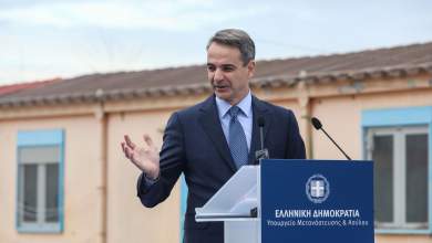 parelthon-i-domi-toy-elaiona-gia-tin-dipli-anaplasi-0