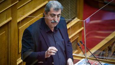 voyli-arsi-asylias-polaki-psifise-i-olomeleia-0