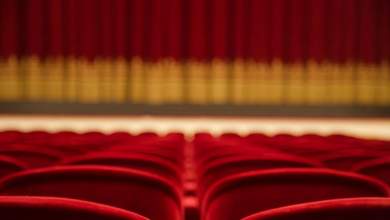 reportaz-tvxs-gia-to-theatro-technis-ti-apanta-i-kallitechniki-dieythyntria-gia-ton-gianni-lignadi-0