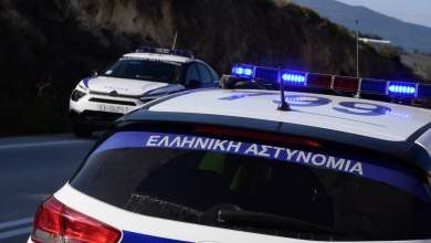 pyrovolismos-16chronoy-sto-lagonisi-anthropokynigito-gia-ton-entopismo-ton-draston-0