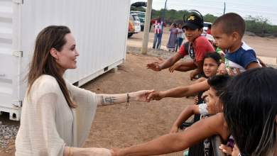 antzelina-tzoli-gia-tin-profygiki-tragodia-stin-pylo-kaneis-den-diakindyneyei-ti-zoi-toy-ektos-an-den-echei-epiloges-0