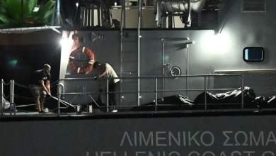 nayagio-stin-pylo-mia-akoma-soro-entopise-to-limeniko-0